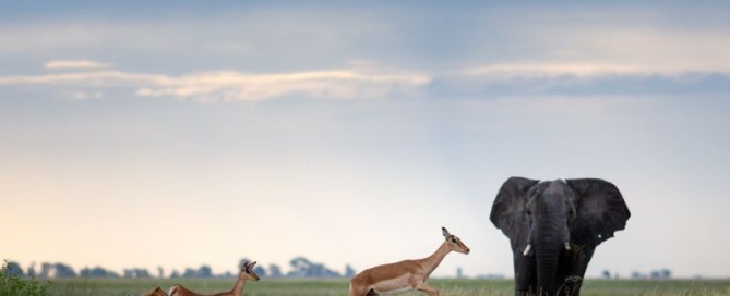 Montefeltro viaggi di caccia sudafrica