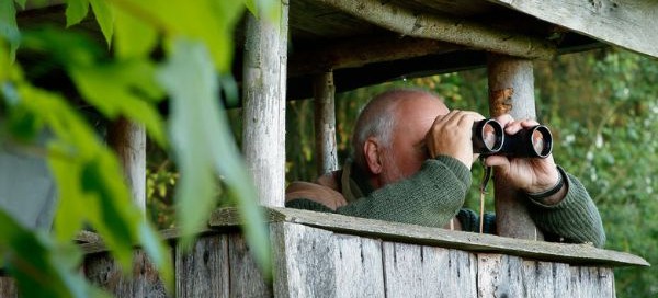 altana bulgaria caccia a palla cervo orso cinghiale Montefeltro viaggi di caccia