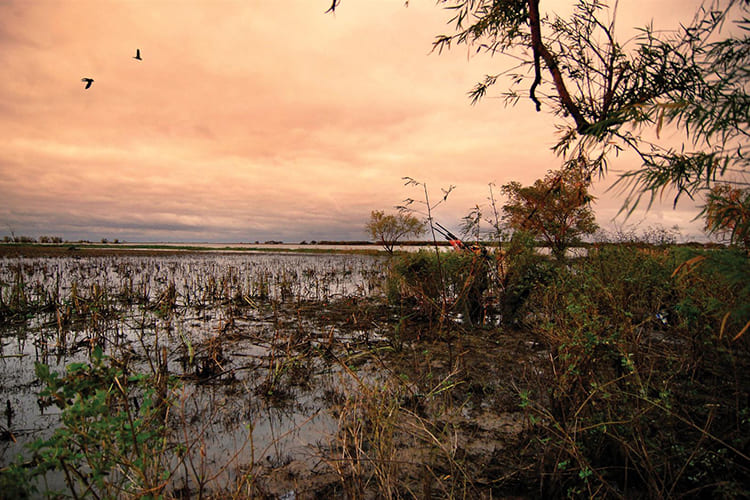 caccia agli acquatici in Argentina