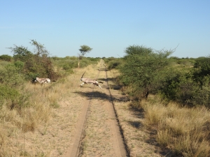 viaggio venatorio in africa cosa portare in valigia