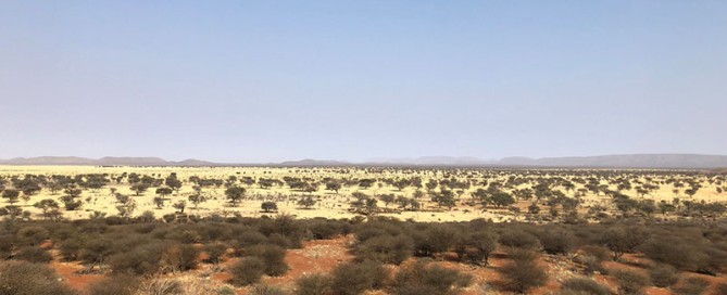 safari in namibia