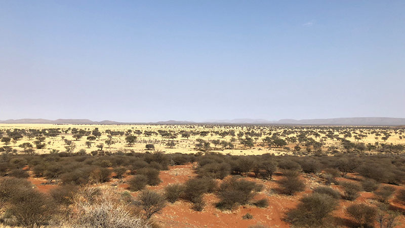 safari in namibia
