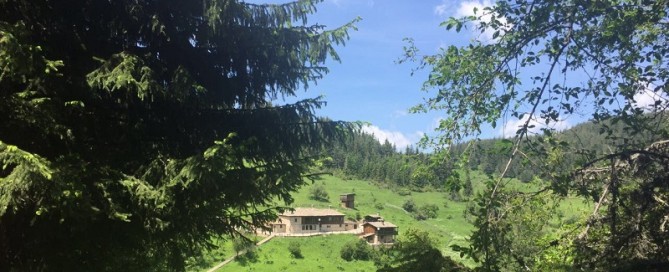 caccia a palla in bulgaria
