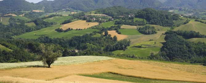 riserva di caccia La Montefeltro
