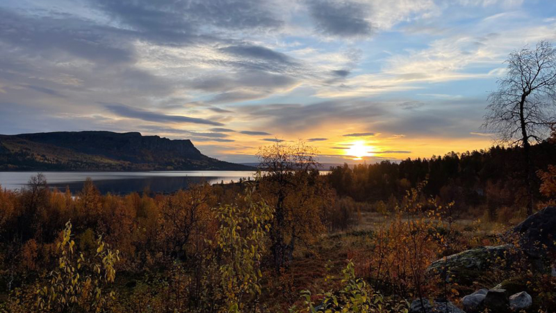 caccia in Svezia Lapponia svedese