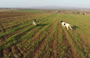 allenamento in macedonia