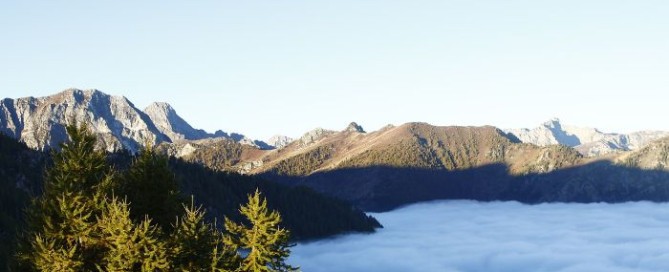 caccia al camoscio in Italia