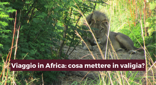 viaggio venatorio in africa preparare al meglio la valigia