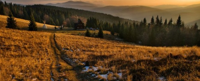caccia al bisonte in polonia