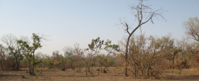 viaggio caccia in africa senegal caccia grossa montefeltro 4