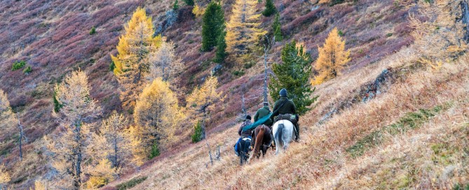il viaggio più bello