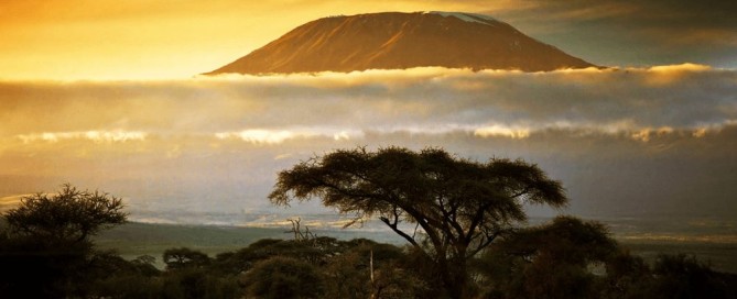 caccia in tanzania