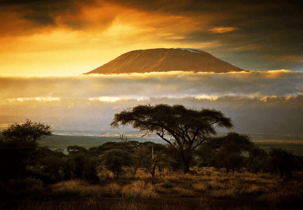 caccia in tanzania
