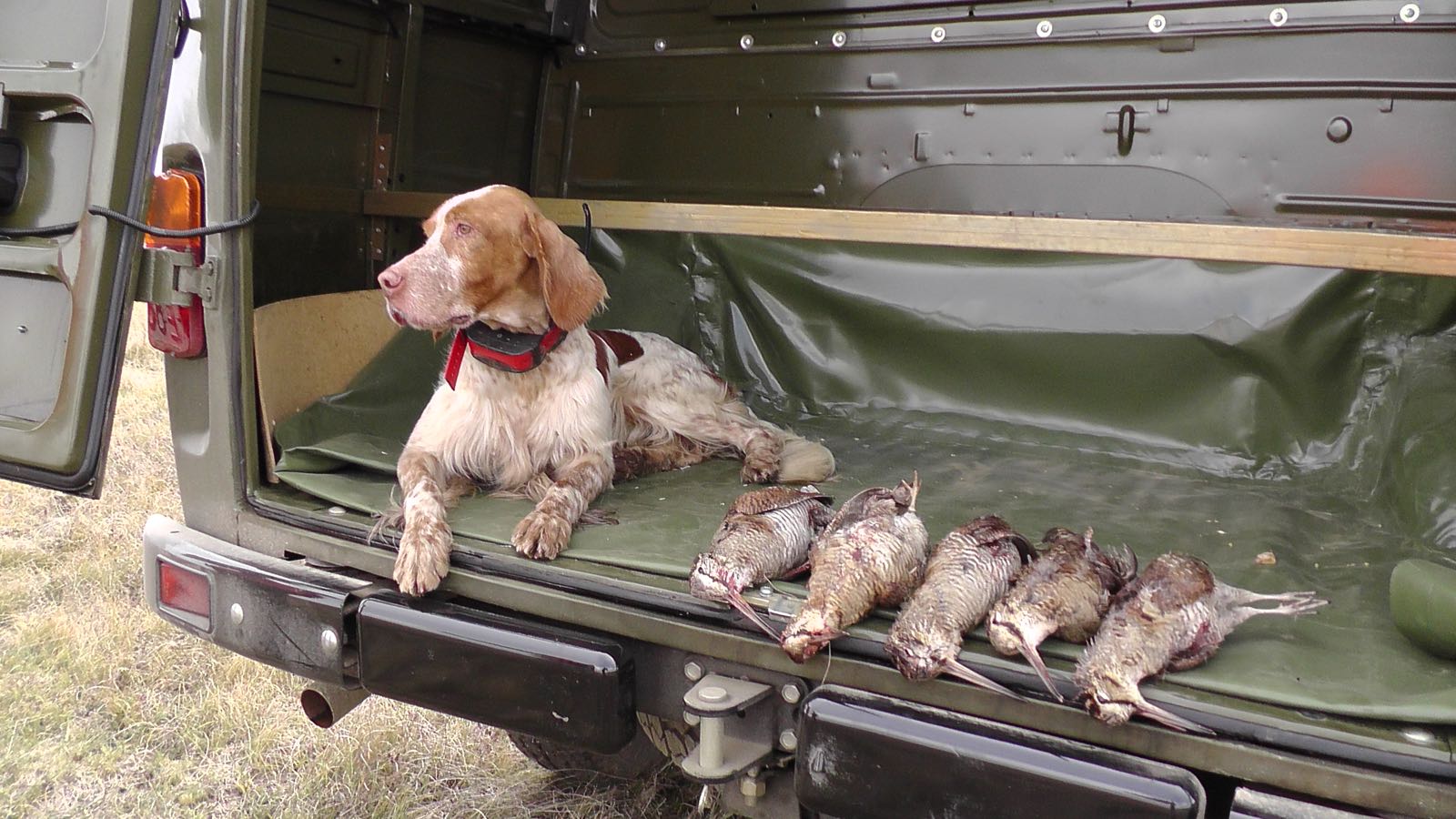 small game hunting