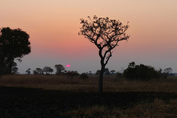 caccia al leone in tanzania