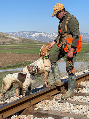 esperienza venatoria con cane da caccia in Macedonia