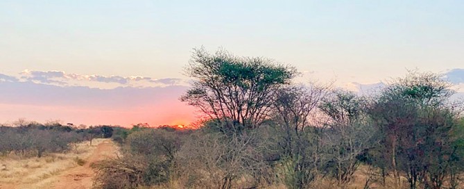 caccia in Sudafrica con Montefeltro
