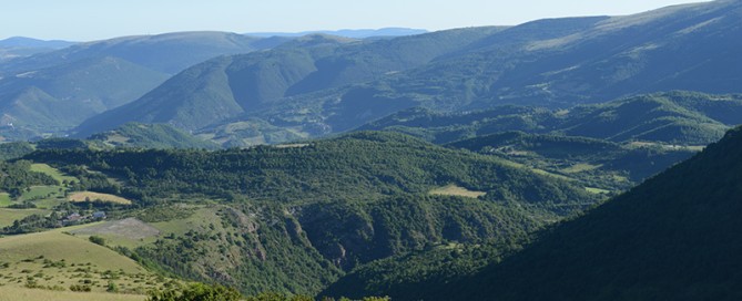caccia agli ungulati in Italia Montefeltro