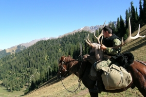 cacciatore maral caccia al cervo kazakistan ibex Montefeltro viaggi di caccia