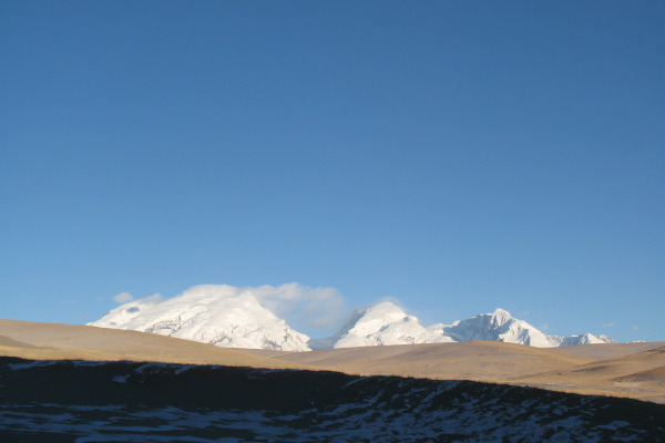 pecora di marco polo