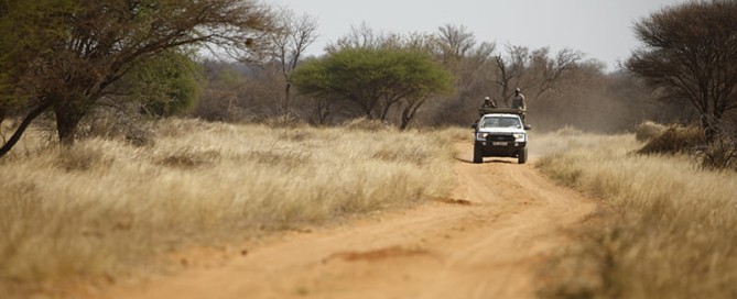 Safari di caccia in Africa
