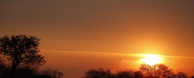 caccia nell’Africa Australe