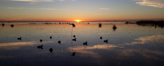caccia in argentina alle anatre