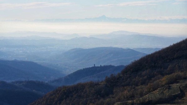 Caccia al daino sull’appennino piemontese