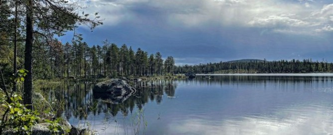 Caccia da sogno in Lapponia Svedese
