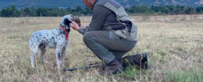 Caccia alle quaglie in Macedonia