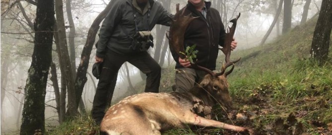 Caccia al Capriolo sull'Isola di Bute