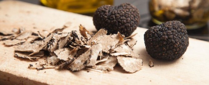Caccia al tartufo nei boschi della Riserva La Montefeltro a Rivergaro
