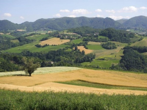 La Riserva di Caccia La Montefeltro a Rivergaro La Riserva di Caccia La Montefeltro a Rivergaro