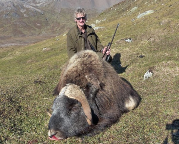 a-caccia-di-musk-oxen