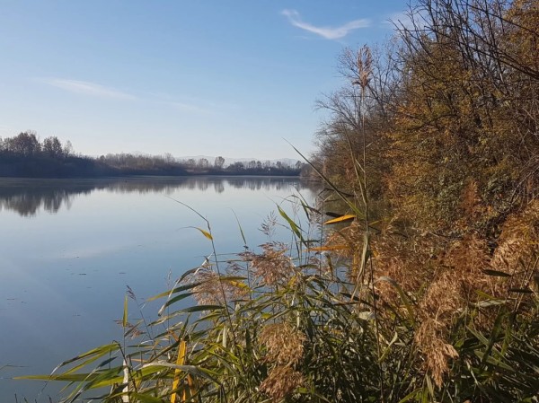 oasi-naturalistica-di-Budrio