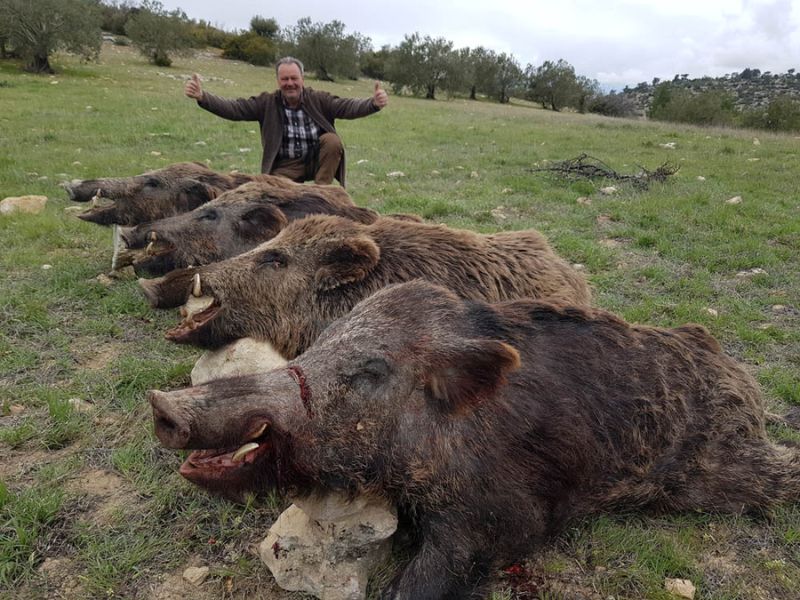 Caccia al cinghiale in Turchia
