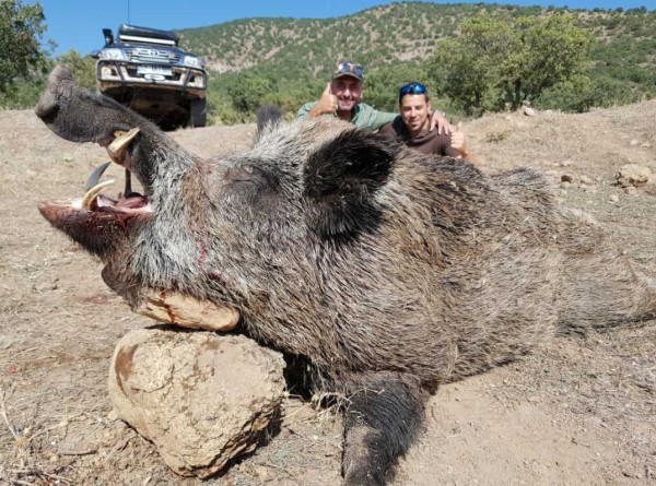 battuta-al-cinghiale-in-turchia