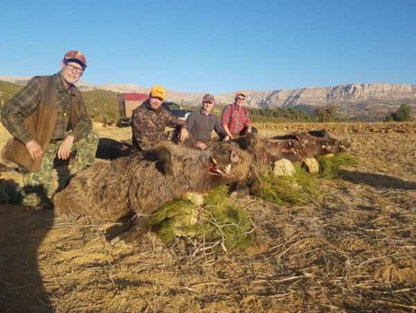 caccia-al-cinghiale-in-turchia
