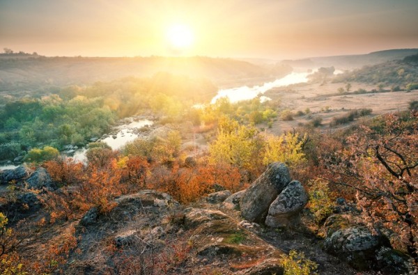 habitat-del-cinghiale-a-konje-turchia