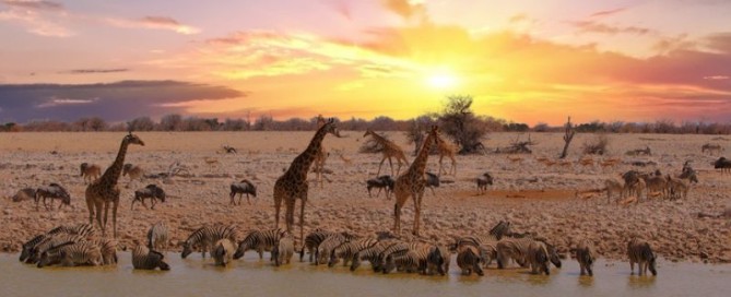 Namibia: dove la caccia incontra l’anima dell’Africa