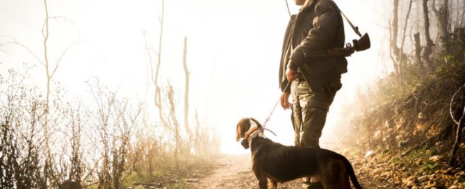 i cani da caccia i compagni amati da ogni cacciatore