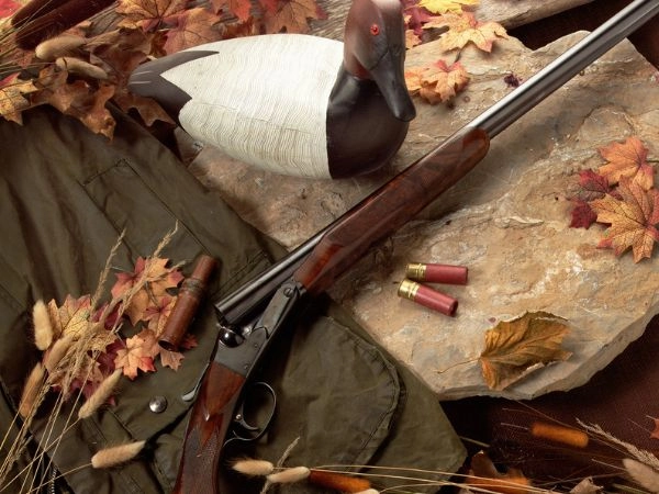 Pistola e uccello