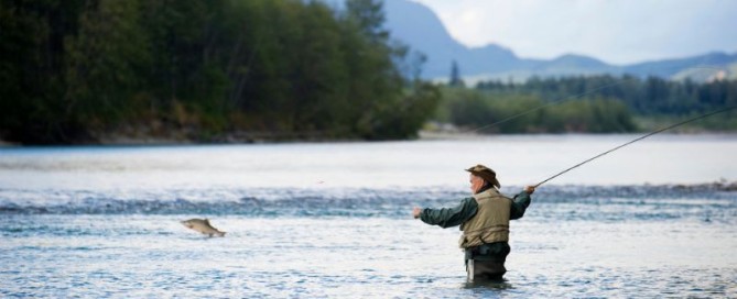 Alaska a salmone
