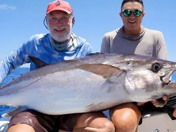 Dogtooth tuna