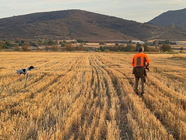 migratoria estiva in Macedonia migratoria estiva in Macedonia