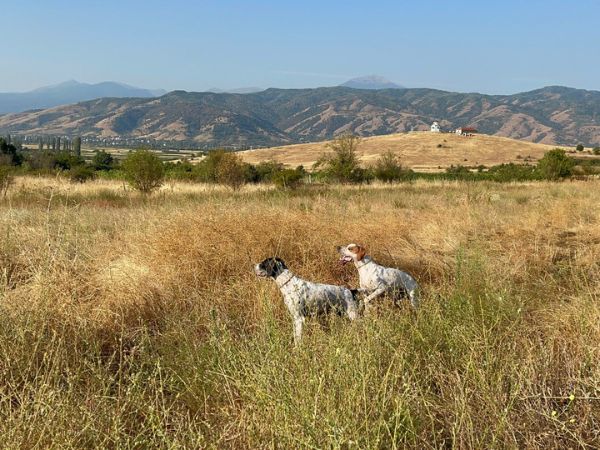 Bitola dove si sviluppa la migratoria estiva Bitola dove si sviluppa la migratoria estiva