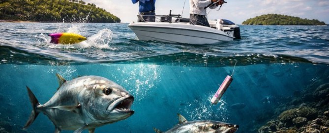 Popping vs Jigging
