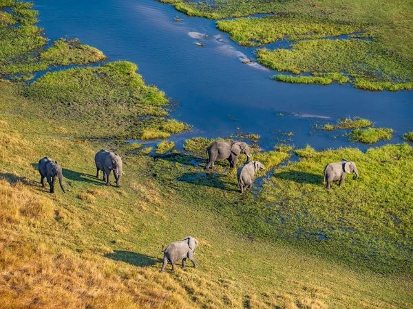 Botswana, spazi larghi, il cielo enorme e animali che sembrano sempre “lontani abbastanza” per non farti entrare.