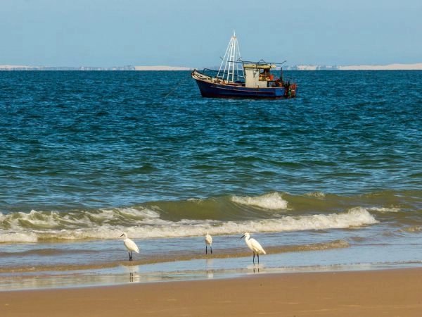Scegliere Jeffreys Bay è una meta per chi vuole mettersi alla prova, fatta di fatica, attesa ed emozioni autentiche.