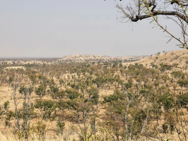 La Save Valley è una “caccia al bufalo”,una esperienza di esposizione totale, fisica e mentale.